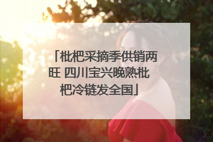 枇杷采摘季供销两旺 四川宝兴晚熟枇杷冷链发全国