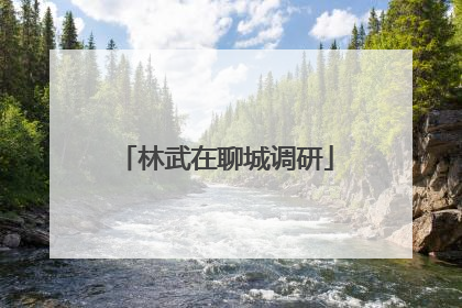 林武在聊城调研
