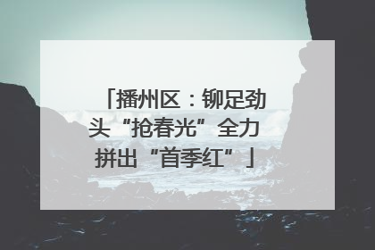 播州区：铆足劲头“抢春光”全力拼出“首季红”