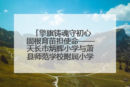 擎旗铸魂守初心 固根育苗担使命——天长市炳辉小学与萧县师范学校附属小学结对共建活动纪实
