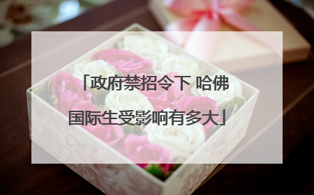 政府禁招令下 哈佛国际生受影响有多大