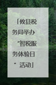 攸县税务局举办“智税服务体验日”活动