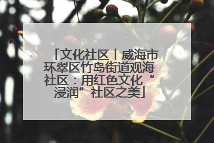 文化社区丨威海市环翠区竹岛街道观海社区：用红色文化“浸润”社区之美