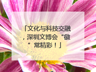 文化与科技交融，深圳文博会“徽”常精彩！