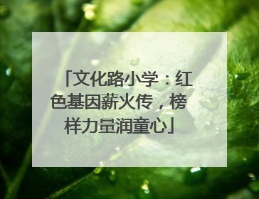 文化路小学：红色基因薪火传，榜样力量润童心
