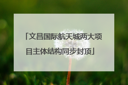 文昌国际航天城两大项目主体结构同步封顶