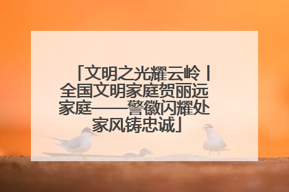 文明之光耀云岭丨全国文明家庭贺丽远家庭——警徽闪耀处 家风铸忠诚