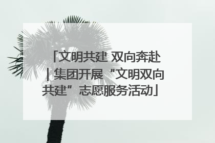 文明共建 双向奔赴｜集团开展“文明双向共建”志愿服务活动