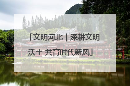 文明河北｜深耕文明沃土 共育时代新风