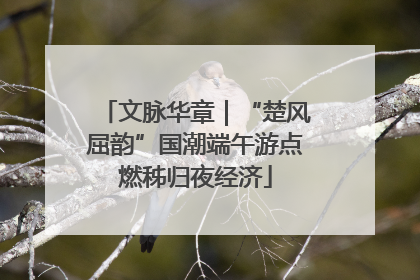 文脉华章｜“楚风屈韵”国潮端午游点燃秭归夜经济