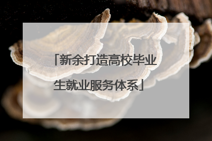 新余打造高校毕业生就业服务体系