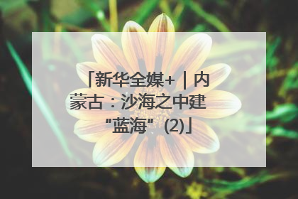 新华全媒+｜内蒙古：沙海之中建“蓝海”(2)