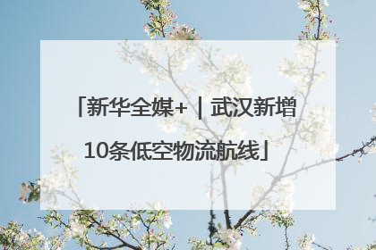 新华全媒+｜武汉新增10条低空物流航线