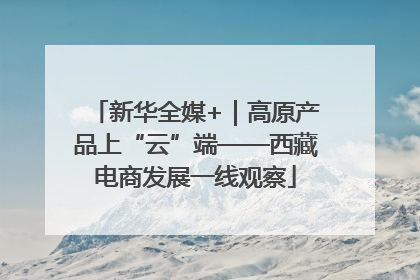 新华全媒+｜高原产品上“云”端——西藏电商发展一线观察