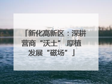 新化高新区：深耕营商“沃土” 厚植发展“磁场”