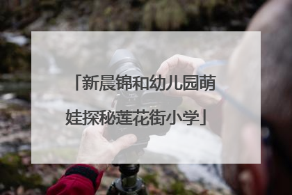 新晨锦和幼儿园萌娃探秘莲花街小学