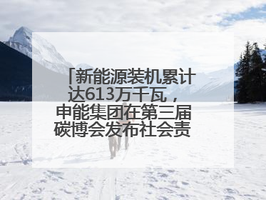 新能源装机累计达613万千瓦，申能集团在第三届碳博会发布社会责任报告