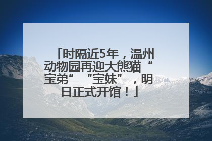 时隔近5年，温州动物园再迎大熊猫“宝弟”“宝妹”，明日正式开馆！