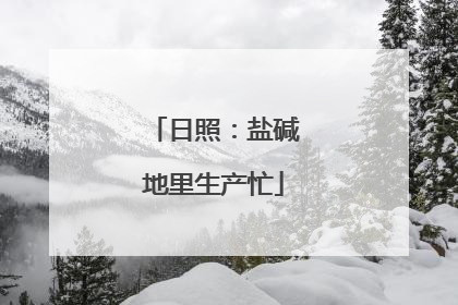 日照：盐碱地里生产忙