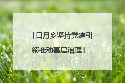 日月乡坚持党建引领推动基层治理