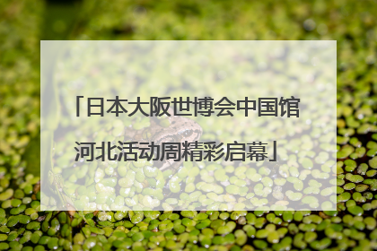 日本大阪世博会中国馆河北活动周精彩启幕