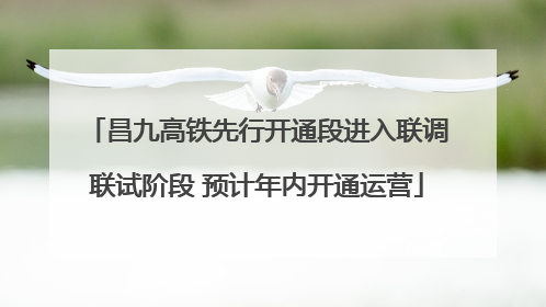 昌九高铁先行开通段进入联调联试阶段 预计年内开通运营