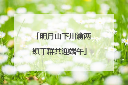 明月山下川渝两镇干群共迎端午