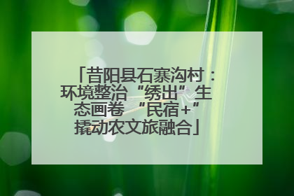 昔阳县石寨沟村：环境整治“绣出”生态画卷 “民宿+”撬动农文旅融合