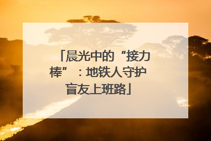晨光中的“接力棒”：地铁人守护盲友上班路