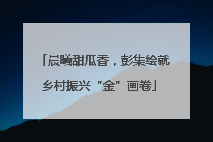 晨曦甜瓜香，彭集绘就乡村振兴“金”画卷