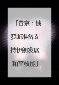 普京：俄罗斯准备支持伊朗发展和平核能
