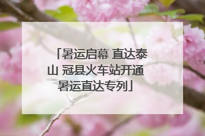 暑运启幕 直达泰山 冠县火车站开通暑运直达专列