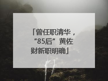 曾任职清华，“85后”黄佐财新职明确