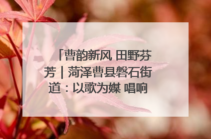 曹韵新风 田野芬芳｜菏泽曹县磐石街道：以歌为媒 唱响乡土“新歌声”