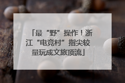 最“野”操作！浙江“电竞村”指尖较量玩成文旅顶流