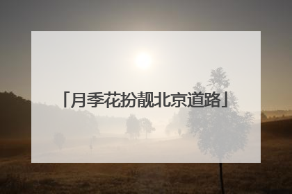 月季花扮靓北京道路