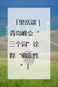 望岳谈｜青岛峰会“三个词”诠释“确定性”