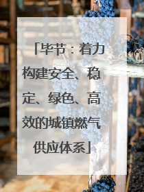 毕节：着力构建安全、稳定、绿色、高效的城镇燃气供应体系