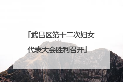 武昌区第十二次妇女代表大会胜利召开
