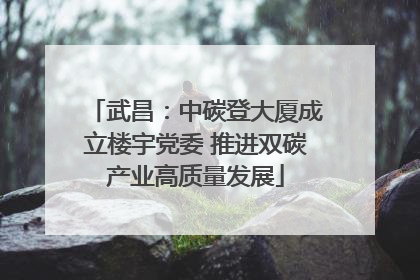 武昌：中碳登大厦成立楼宇党委 推进双碳产业高质量发展