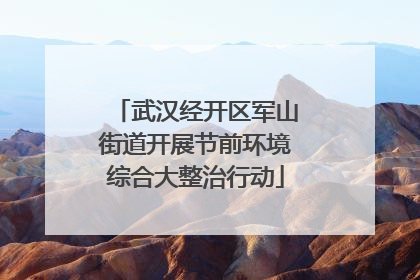 武汉经开区军山街道开展节前环境综合大整治行动