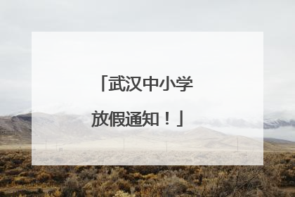 武汉中小学放假通知！