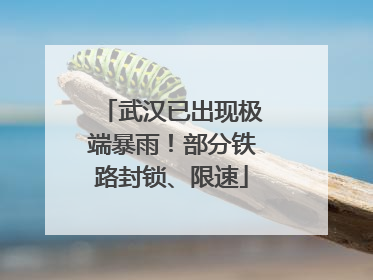 武汉已出现极端暴雨！部分铁路封锁、限速