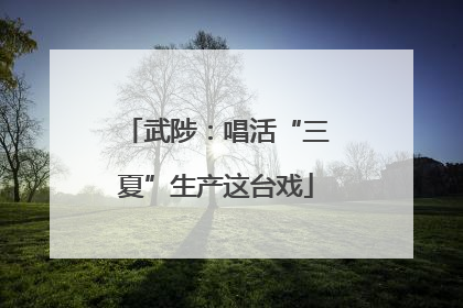 武陟：唱活“三夏”生产这台戏