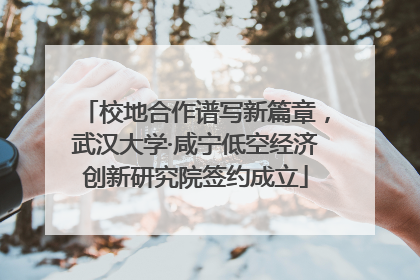 校地合作谱写新篇章，武汉大学·咸宁低空经济创新研究院签约成立
