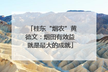 桂东“烟农”黄德文：烟田有效益就是最大的成就