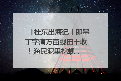 桂东出海记丨即墨丁字湾万亩蚬田丰收！渔民泥里挖蚬，一天上岸过千斤