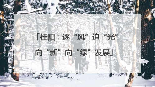 桂阳：逐“风”追“光” 向“新”向“绿”发展