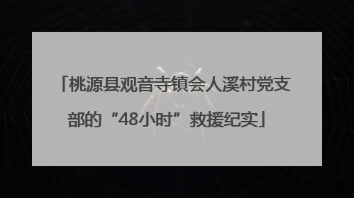 桃源县观音寺镇会人溪村党支部的“48小时”救援纪实