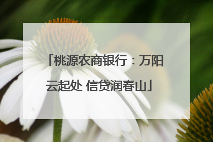 桃源农商银行：万阳云起处 信贷润春山